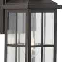 Progress Lighting Williamston Collection 1-Light Clear Glass Antique Bronze Farmhouse Outdoor Large Wall Lantern Light, 18.00x7.00x8.12