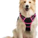 rabbitgoo Dog Harness No Pull with 2 Leash Clips, Adjustable Soft Padded, Reflective Oxford No Choke Pet Vest with Easy Control Handle for Large Dogs, Black & Hot Pink, M