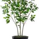 Artificial Ficus Tree 5FT - Faux Plant with Black Diamond Planter - Tall Fake Tropical Ficus Floor Plant Potted - Artificial Silk Tree for Home Office Living Room Decor Indoor (Black)