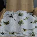 Puleo International 19" Pre-Lit Battery-Operated Artificial Potted White Poinsettias