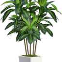 6FT Artificial Dracaena Tree, Fake Tree Indoor with White Tall Planter,Tall Artificial Plants Indoor,Artificial Silk Tree for Home Office Decor,Housewarming Gift (White)