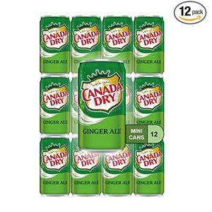 Ginger Ale Mini Soda Cans, 7.5 oz Soft Drinks Bulk Snacks Pack, Small Refrigerator & Snack Pantry Drink 12 Count Beverage Kitchen Supplies