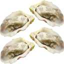 Toyvian 4pcs Artificial Oysters, Fake Shellfish Seafood Model Scallop Food Photography Prop Food Sample Display for Home Kitchen Party Decoration B