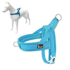 Plutus Pet No Pull Dog Harness with Breathable Mesh Padded, Adjustable Reflective Escape Proof Dog Harness, Quick Fit Dog Vest Harness for S Dogs(L, Cyan)