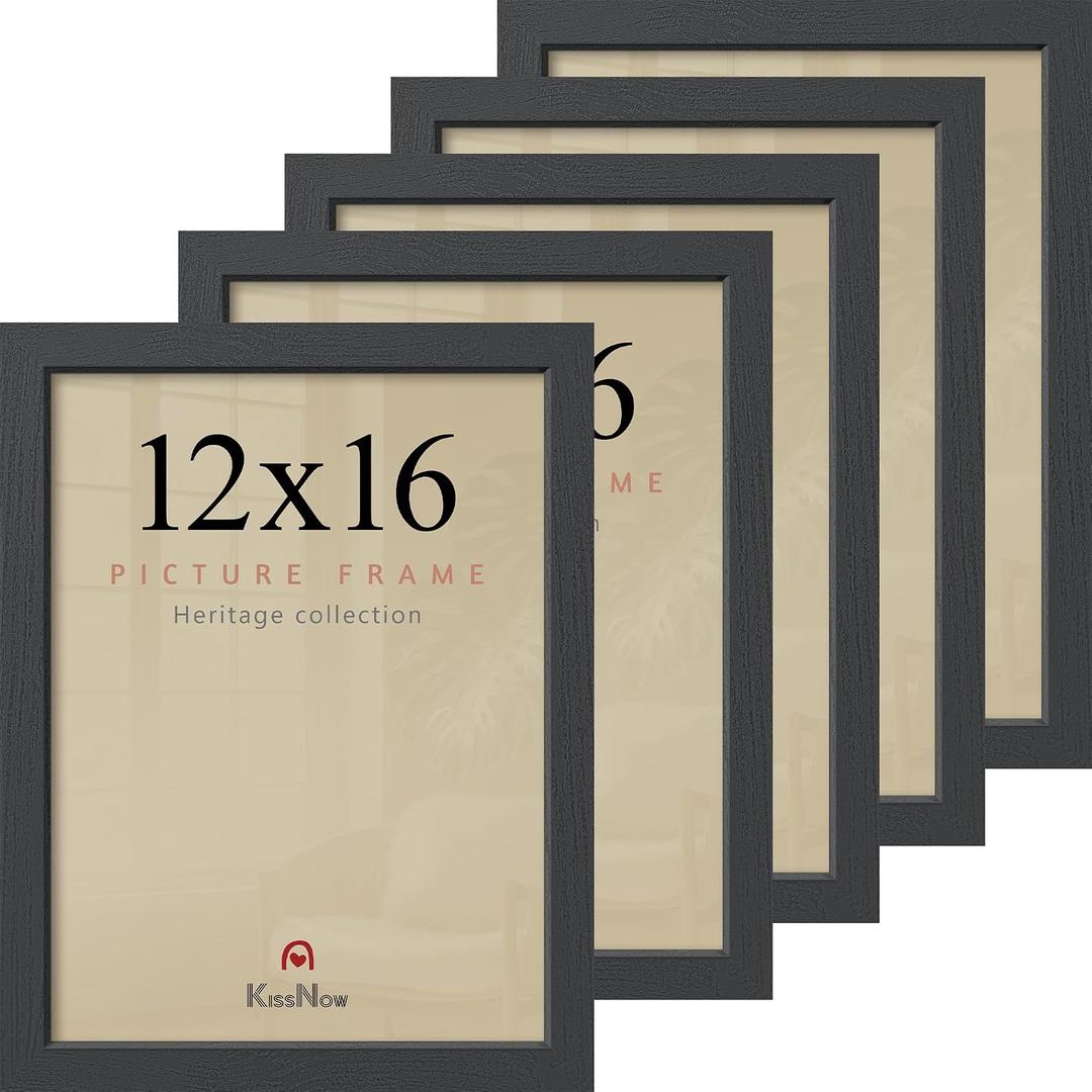 12x16 Picture Frame 5 Pack, Black Solid Wood Poster Frame for Wall