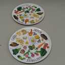 9" Portion Control Plate - Healthy Nutrition Plate for Adults and Teens, Melamine, Ideal for Weight Loss and Diabetes Management (2 Pack)