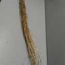 Branches for Vase, 3'4' Natural Birch Tree Branches for Decoration, Bundle of 10 Tall Decorative Sticks for Vases, Rustic Wood Branches for Crafts, Weddings, Seasonal & Home Décor - Gold