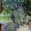 120PCS 15 Kinds Artificial Eucalyptus Stems Mixed Faux Eucalyptus Stems Leaves and Flowers Bulk Silver Dollar Eucalyptus Stems for Floral Arrangements Wedding Home Vase Bouquet Greenery Decoration (Sage Green & White)