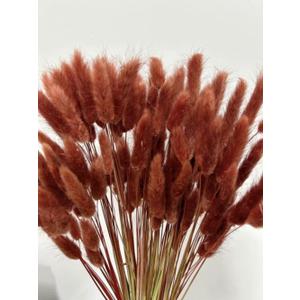 120pcs Bunny Tails Grass Burnt Orange Dried Flowers Plant Boho Pampas Grass 17 inch for Home Decor Wedding Bouquet Natural Flower Arrangements (Caramel)