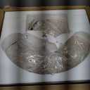 Bestier Modern Gold Pendant Chandelier Crystal Raindrop Lighting Ceiling Light Fixture Lamp for Dining Room Bathroom Bedroom Living Room Entryway 3 E12 Bulbs Required D16 in x H18 in