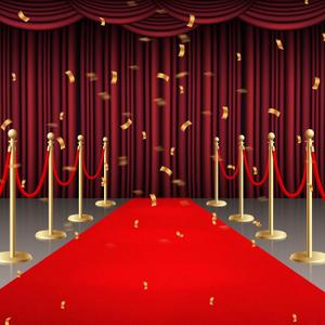 450GSM Extra Thick Red Carpet Runner for Party & Events, 4ft x 50ft