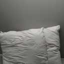 LEBO 26 x 26 Outdoor Waterproof Pillow Inserts - TPU Coated, Soft Fluffy Down Alternative Decorative Pillows for Patio Couch Sofa - White, Pack of 2
