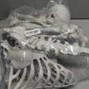 Halloween Skeleton, Realistic Life Size Skeleton with Movable Joints for Halloween Party Haunted House Indoor Outdoor Decoration (5.4ft-1P)