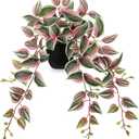 DILATATA Fake Plants Artificial Potted Plants 20 Inch Faux Peperomia Ivy Vine Plant Hanging Plant for Home Office Desk Shelf Indoor Outdoor Decor