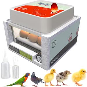 Incubators for Hatching  12 Eggs  Ideal for All Ages  Incubator with Automatic Turning and Humidity Control  Integrated Egg Candler  Okkobi OBI-12 (White Orange)