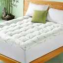 3 Inch Mattress Topper - Viscose Made from Bambu,Cooling Soft Pillow Top Mattress Pad Cover for Back Pain,Mattress Protector with 8-21 Inch Deep Pocket (60"x80")