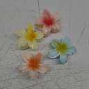 Matte Flower Hair Claw Clips for Women, 6PCS Large Clips with Strong Hold for Thick Hair, Cute Daisy Design (Style B)