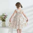 Kids Toddler Baby Girls Rainbow Dress Princess Sleeveless Beach Butterfly Sundress (Beige) 2-3Y
