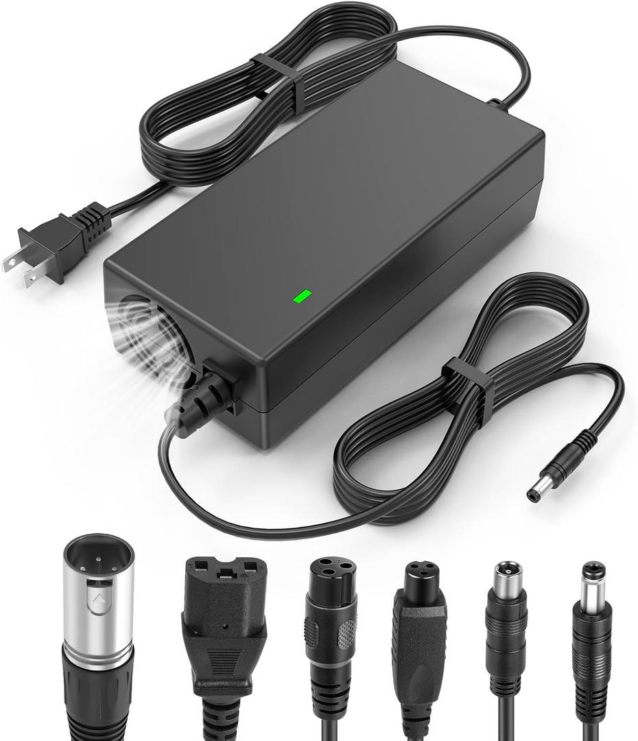Fancy Buying 7-in-1 Universal 54.6V 2A ebike Charger for 48v Fast and Safe Charging of 13S Li-ion Battery