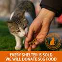 Outdoor Cat House with Cozy Cushion, Waterproof Insulated Cat Houses for Outdoor Cats, Shelter for Feral Pet Outside, Design for All Weather, Green