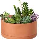 D'vine Dev 10 Inch Succulent Terracotta Shallow Pot with Drainage Hole and Saucer, Round Cylinder Planter Pot for Plant Flower