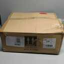 3 Parts Skeleton With Halloween Pumpkin Hat and Spider