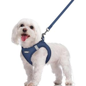 rabbitgoo Dog Harness Small Sized and Leash Set, Step in Soft Light Puppy Vest, Breathable Mesh Pet Harness, Reflective for Safe Outdoor Walking, Navy Blue, M