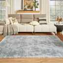 Floralux Rugs for Living Room, 6x9 Large Shag Area Rug, Tie-Dyed Light Grey Soft Fluffy Carpets for Bedroom