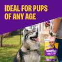 Wellness Rewarding Life Soft Dog Training Treats, Natural, Grain Free, Chicken and Lamb Recipe, 6 oz Bag (EXP 02/07/27)
