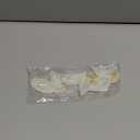 Expo International Foliage Beaded Sequin Patch Pack of 2 Applique, Crystal Aurora Borealis