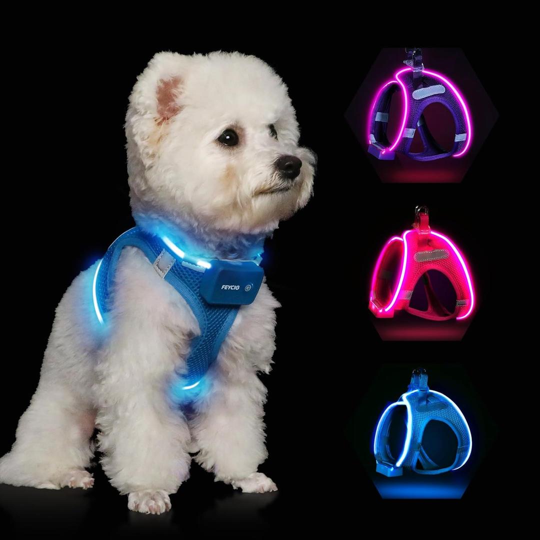 Light Up Dog Harness,Rechargeable LED Dog Harness for Small Medium Large Dogs,Reflective Lighted Safety Vest for Night Walking & Camping,Lightweight & Adjustable,Blue,S