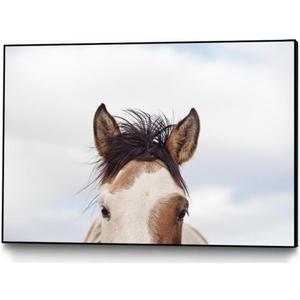 Giant Art Canvas 36x24 Eyes Up Framed in Pink