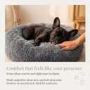 Small Calming Dogs Bed for Small Dogs Anti-Anxiety Machine Washable Fluffy Luxury Anti-Slip Waterproof Mute Base Warming Cozy Soft Pet Puppy Round Bed