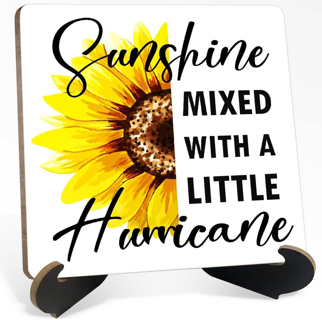 6 x Motivational Desk Decor Sign, Office Desk Decorations Accessories Wooden Plaque Sign, Sunshine Mixed With A Little Hurricane Wooden Signs with Holder Stand