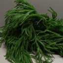 9FT Artificial Norfolk Pine Garland, Realistic Christmas Greenery Garland for Mantle, Staircase, Banister, Fireplace, Wall, Door, Table, Indoor & Outdoor Holiday Xmas Decorations