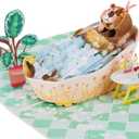 2 x Liif 3D Pop Up Birthday Card for Women, Mom, Friend, Sister, with Message Note & Envelop, Size 7 x 5 inch (Take A Paws Today)