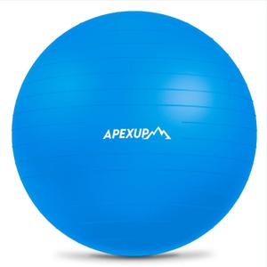 APEXUP Yoga Ball, 660 lbs Anti-Burst Exercise Ball with Pump, 5 Sizes (M (19"~22'') 55cm, Blue)