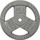 1-Inch Cast Iron Weight Plate for Strength Training & Weightlifting, 25LB (Single)