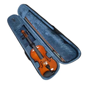Professional Violin Set Adult Practice Violin 4/4 Size Full Pressed Solid Wood(Red,4/4)