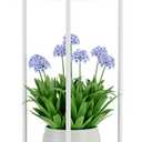 YIUKEA Plant Stand Indoor Outdoor - Metal Planter Holder Shelf Tall Tiered Flower Pot Display Organizer Rack for Garden, Patio, Living Room, Bathroom, Office (White)