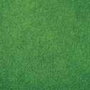 Kate Photography Floor Mats Green Grassland Floor Backdrop Wall Rubber Mat Newborn Photography Props for Professional Photo Shoot Studio 8x5ft