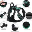 Taglory Light Up Dog Harness, Rechargeable No Pull Dog Vest with 3 Lightning Modes, Reflective Dog Harness with 2 Leash Clips & 4 Adjustable Slide Strips for Large Dogs, Turquoise-Green, L