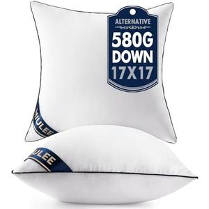 MIULEE 17x17 Pillow Inserts Set of 2 Throw Pillows 17 Inch Premium Down Alternative Pillow Inserts Decorative Pillow Stuffer for Sofa, Couch (17x17 inch, Set of 2)