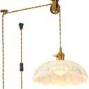 Hanging Lamp Plug in,Braided Adjustable Light Cord Plug in Pendant Light 9.8 Inch Glass Lampshade Hanging Ceiling Light Kitchen Island Pendant Lights for Bedroom with Light Bulb