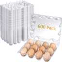 Zubebe 250 Pcs Plastic Egg Cartons Clear Egg Cartons Bulk Blank Tray for Chicken Farm Business Market Home Refrigerator Storage