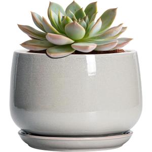 G EPGardening Ceramic Pots for Plants - 6 Inch Plant Pot with Drainage and Ceramic Tray, Modern Succulent Pots, Round Planters for Indoor Plants, Living Room Decor, Gifts for Plant Lovers, Light Grey