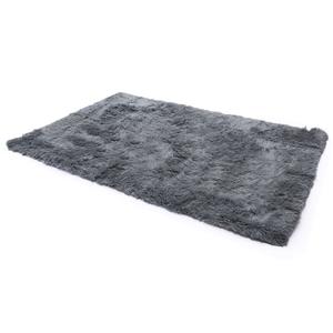 Home Anti-Slip Plush Carpet Soft Comfortable  Carpet 3x2ft 