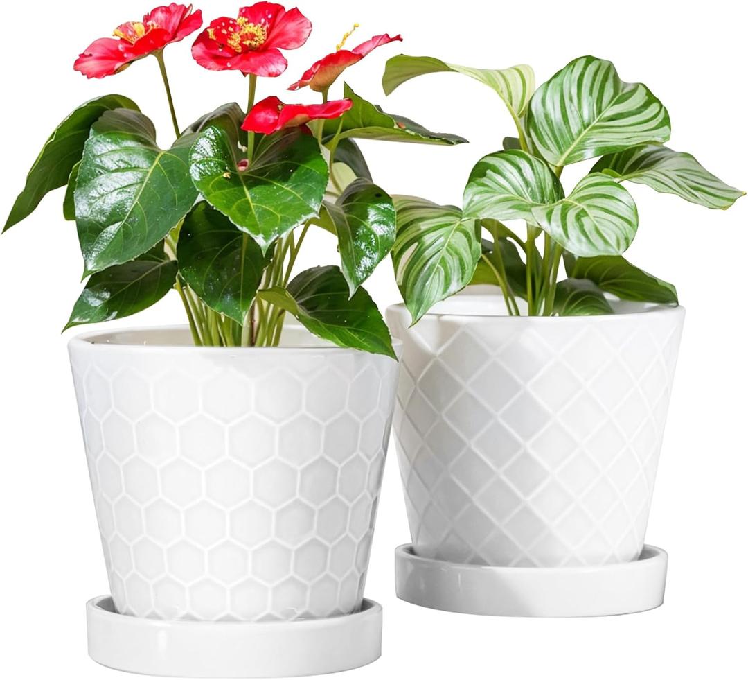 BUYMAX Plant Pots Indoor 6 inch Ceramic Flower Pot with Drainage Hole and Ceramic Tray - Gardening Home Desktop Office Windowsill Decoration Gift, Set of 2(White)