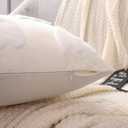 LUOYEHK Halloween Throw Pillow Covers 18x18 Set of 2 White Ghosts Embroidered Pillow Cases Holiday Velvet Cushion Covers for Couch Sofa Bed