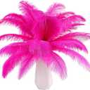 THARAHT Hot Pink Ostrich Feathers 24pcs Natural Bulk 8-10Inch 20cm-25cm for Crafts Wedding Party Centerpieces Easter Gatsbi and Home Decoration Feathers (Fuchsia)